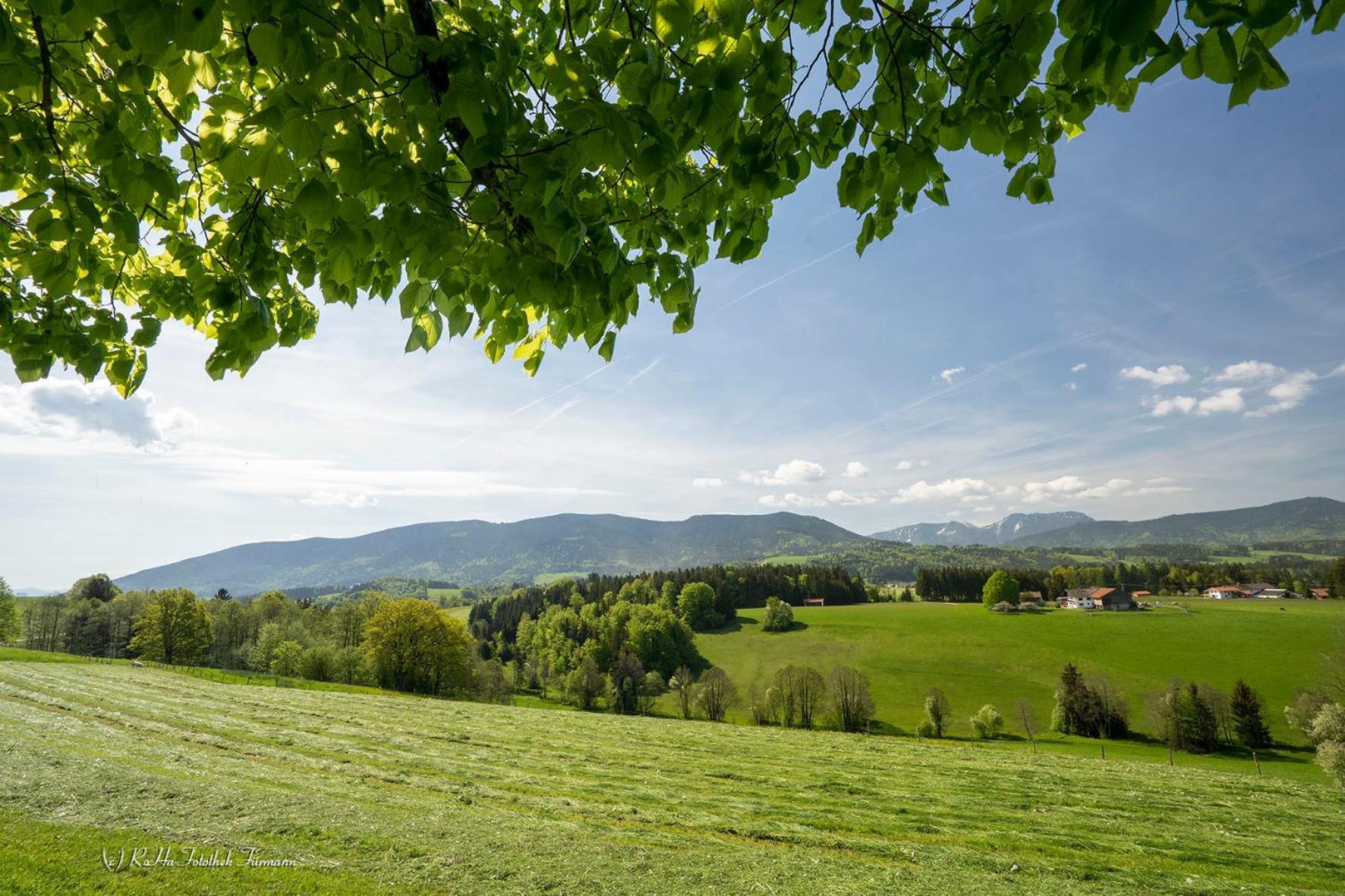 Monteurzimmer Am Teisenberg Neukirchen am Teisenberg Экстерьер фото